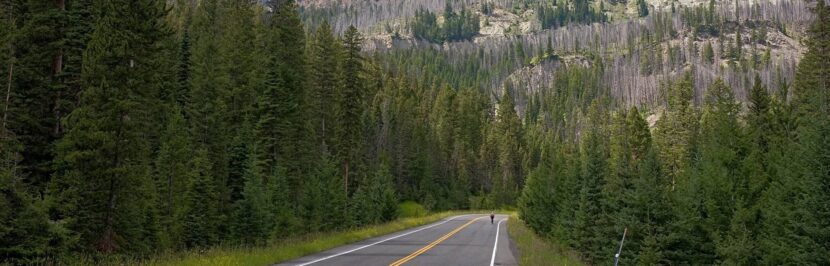 Beartooth Highway