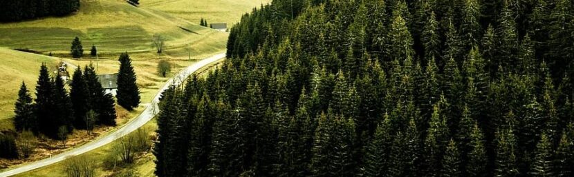 black forest germany road