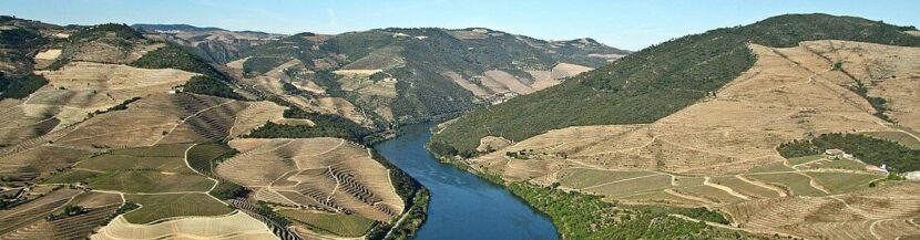 road 222 douro portugal