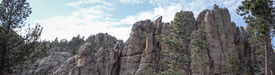 needles highway