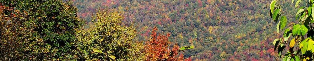 Cherohala-skyway